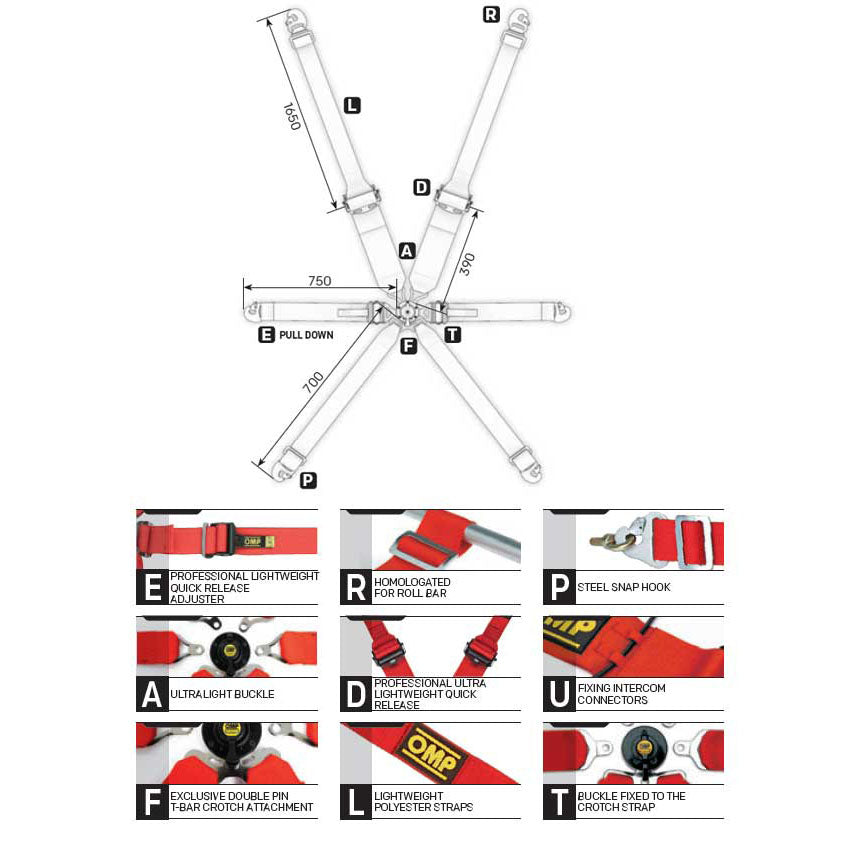 OMP Racing Harness ONE 3+2 ENDURANCE 6-Point Safety Belts Pull Down FHR FIA 8853